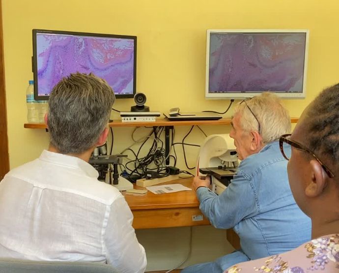 Diagnóstico digital de muestras dentro del laboratorio de Anatomía Patológica