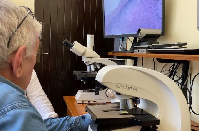 Microscopía y diagnóstico digital en el laboratorio de Anatomía Patológica