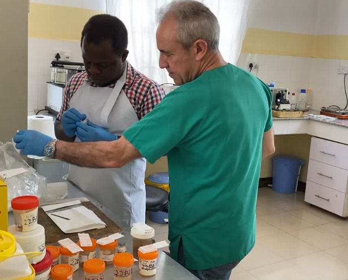 Procesado de muestras en el laboratorio de Anatomía Patológica de África en la Piel